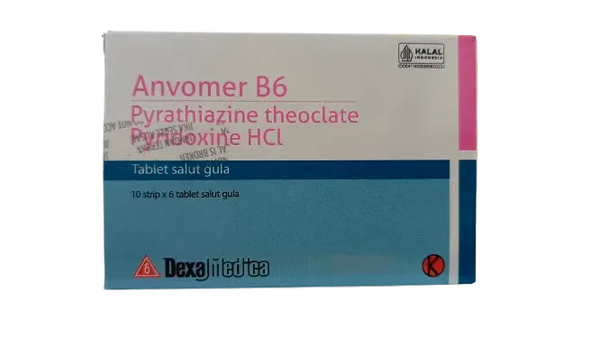 ANVOMER B6 (Box/60)