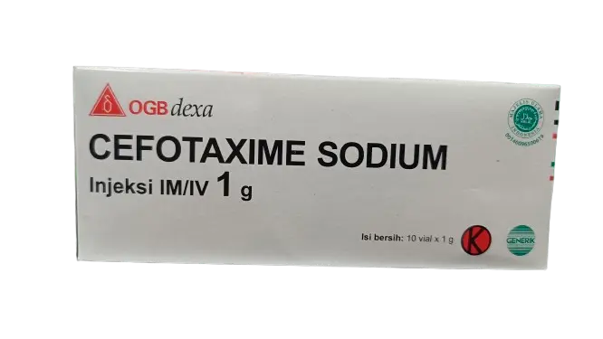 CEFOTAXIME INJ 1 GR Box/10vial (DEXA)