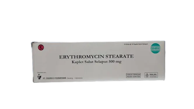 ERYTHROMYCIN 500 MG BOX/100 TABLET (YARINDO)