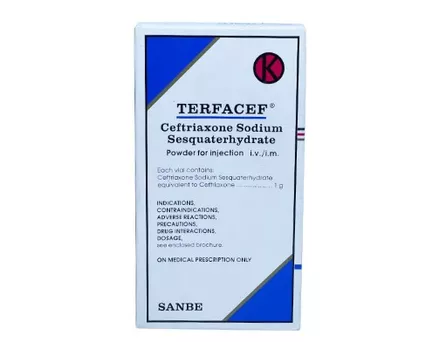 TERFACEF INJEKSI (Box/1 Vial)