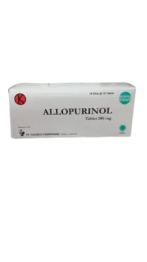 ALLOPURINOL 100MG Box/100 Tablet (YARINDO)