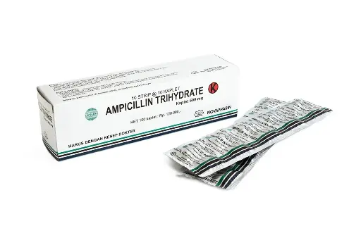 AMPICILLIN 500 Box/100 Kaplet (NOVA)