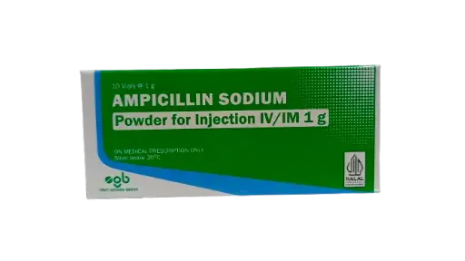 AMPICILLIN SODIUM 1000 MG SERBUK INJ @10 VIAL (BERNO)