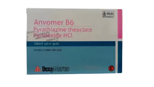 ANVOMER B6 (Box/60)