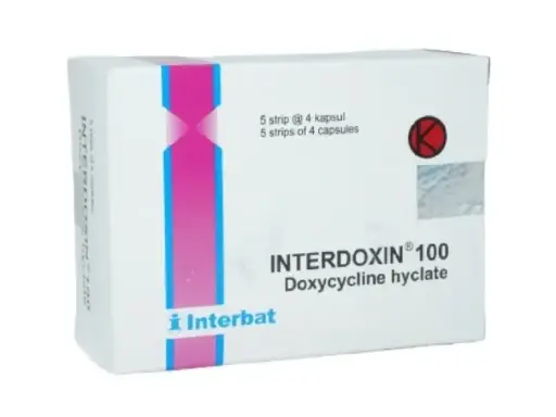 INTERDOXIN 100 MG (Box/20 Capsul)